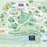 Bronx Zoo Map Printable Printable Maps