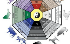 Free Feng Shui Bagua Map Ideal Thought