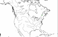 North America Map Quiz In Blank Of And South Roundtripticket Me A In