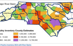 Poultry Manure Outweighs Hog Waste Report Finds North Carolina