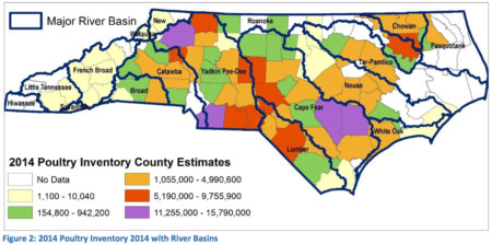 Poultry Manure Outweighs Hog Waste Report Finds North Carolina 