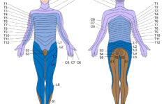 Somatic Movement Center