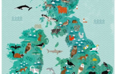 a2 wildlife of the british isles map etsy illustrated map scotland A2 Wildlife Of The British Isles Map Etsy Illustrated Map Scotland