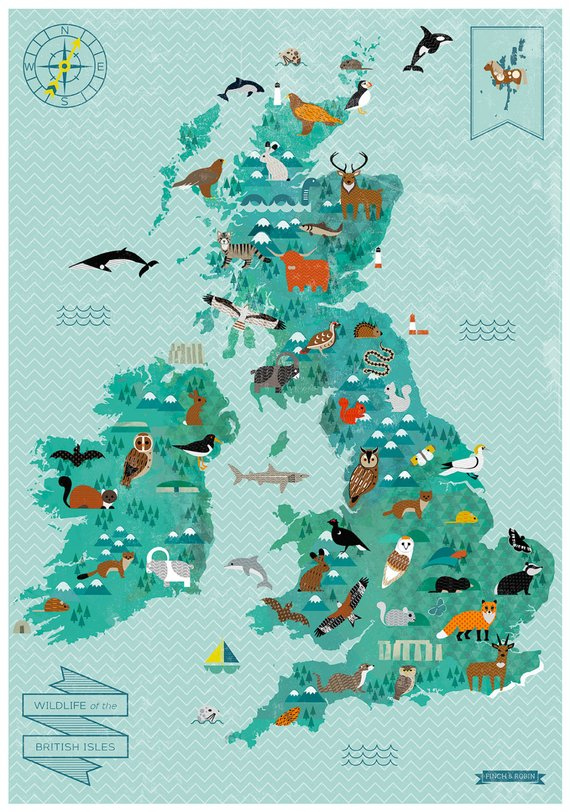 A2 Wildlife Of The British Isles Map Etsy Illustrated Map Scotland 