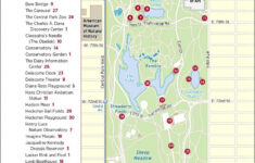 Birding Basics The Ramble 2019 3 20 The Official Website Of In
