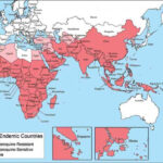 Eastern Hemisphere Map HolidayMapQ