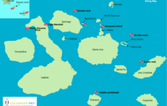 Galapagos Dive Sites Map Top 10 Diving Sites In The Galapagos Islands