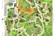 Printable Detroit Zoo Map Printable Maps