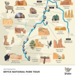 Utah Mighty 5 Maps   5 Maps With Points Of Interest Within Printable Map Of Utah National Parks