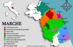 Vineyards & Wineries For Sale In Le Marche – Verdicchio, Rosso Conero within Map of Marche Region of Italy